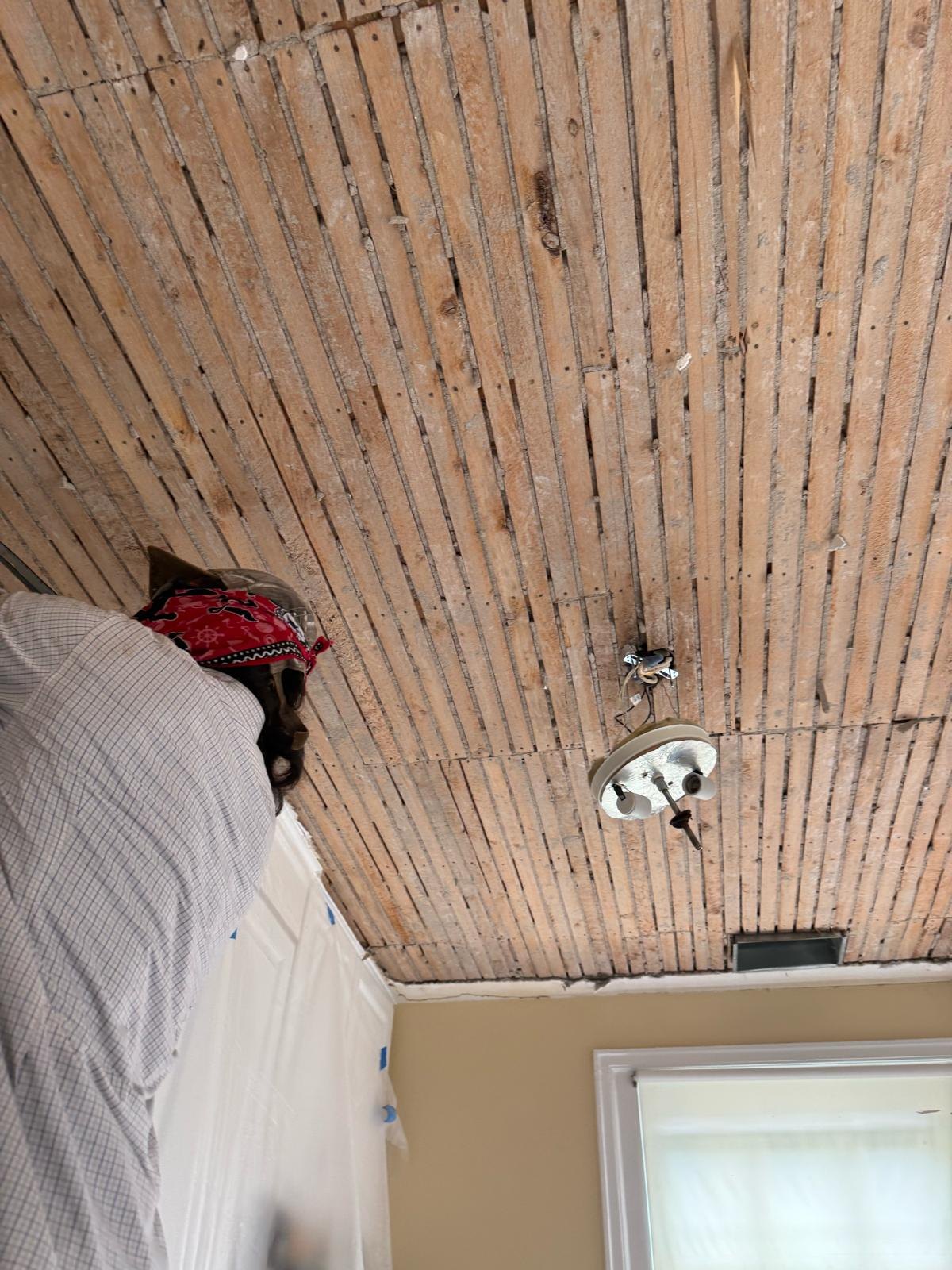 Exposed timber laths during ceiling repair.